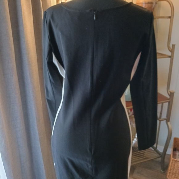 Elliott Lauren Dress bodycon size 6 NWT - Picture 2 of 8